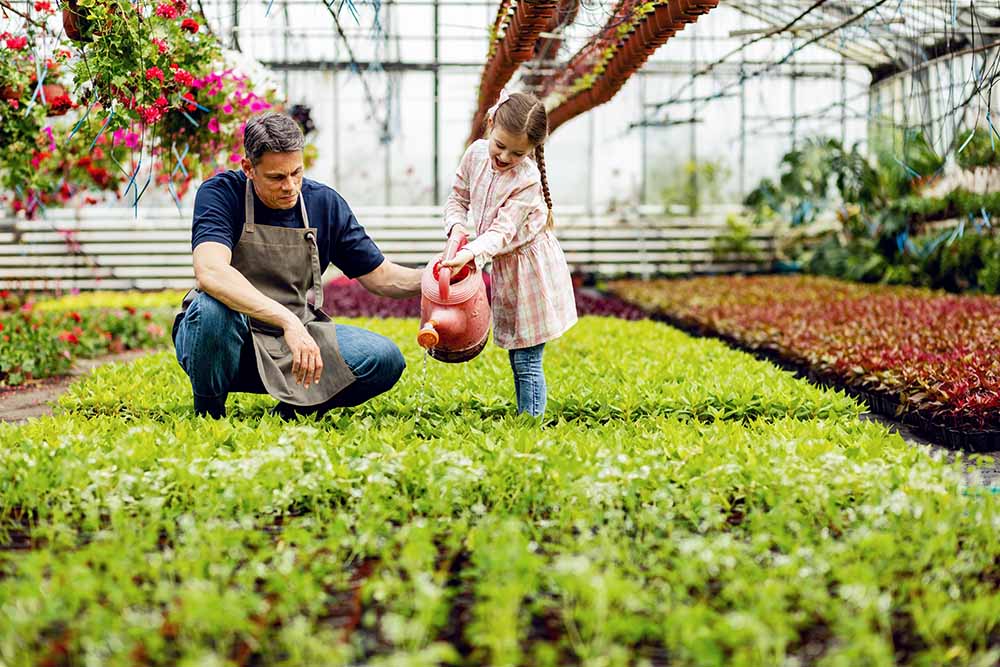 flowers plant nursery soil booster plus saskatchewan