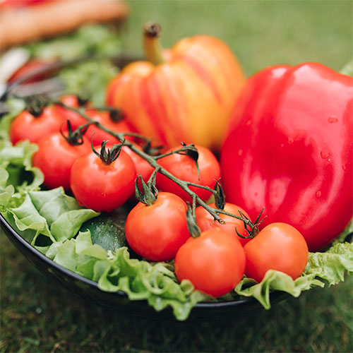 garden soil booster saskatchewan